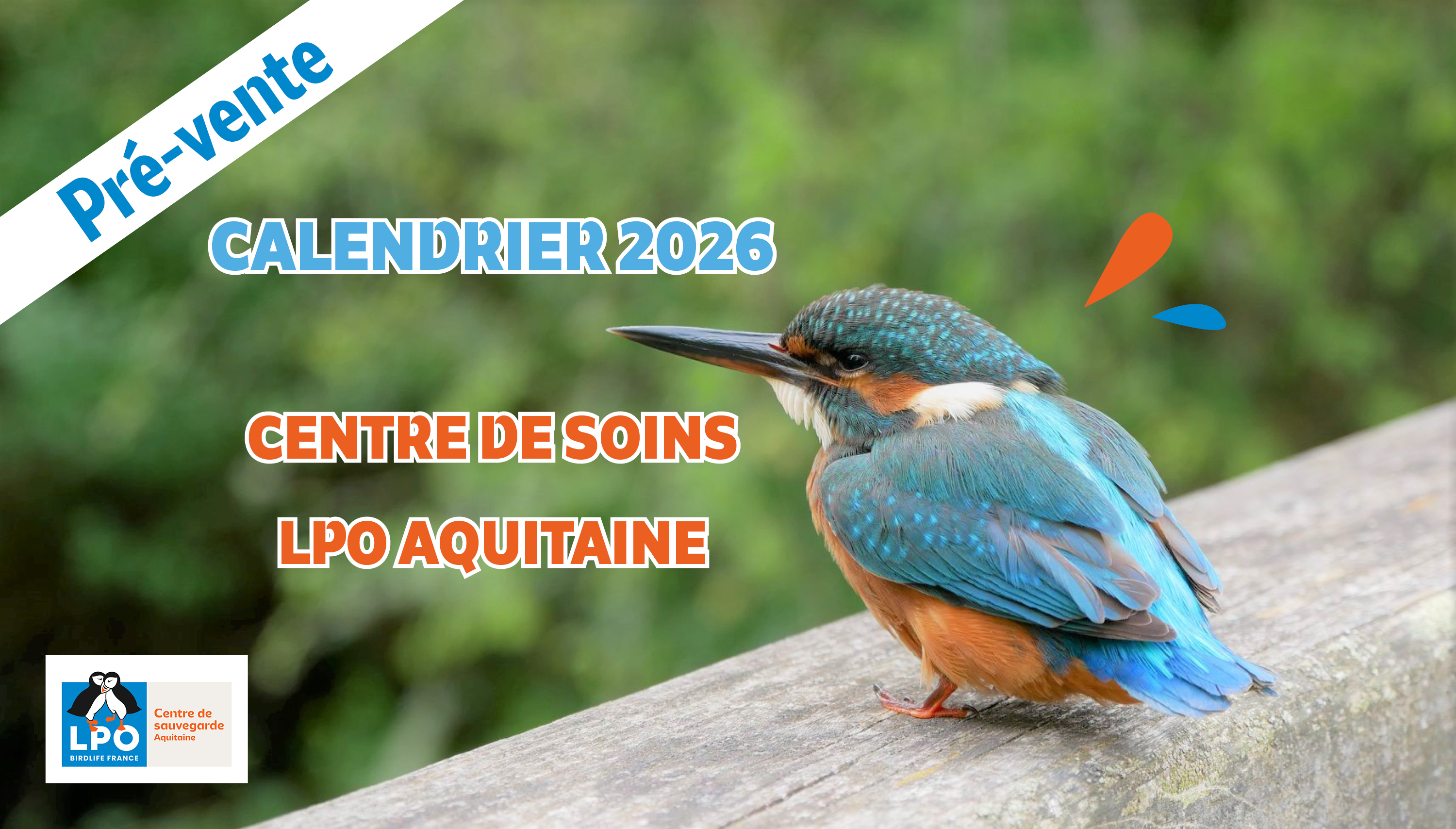 Pré-vente du calendrier 2026 du Centre de soins LPO Aquitaine